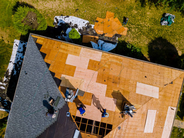 Best Affordable Roofing Company  in Blue Grass, IA