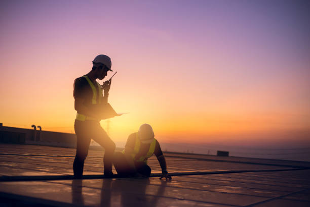 Roof Gutter Cleaning in Blue Grass, IA