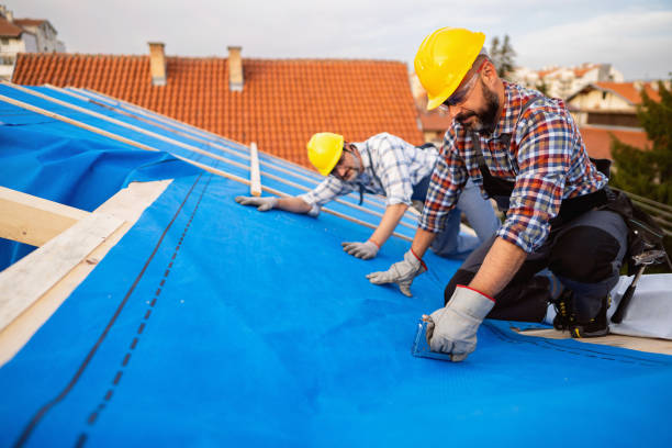 Best Affordable Roofing Company  in Blue Grass, IA