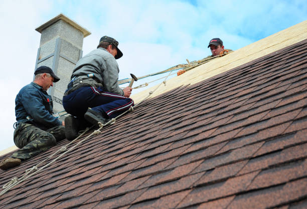 Professional Roofing Contractor in Blue Grass, IA