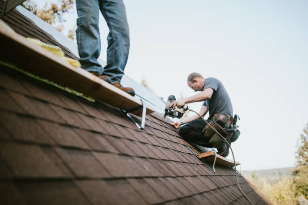 Best Roof Leak Repair  in Blue Grass, IA