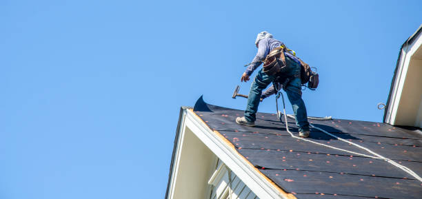 Best Commercial Roofing Services  in Blue Grass, IA